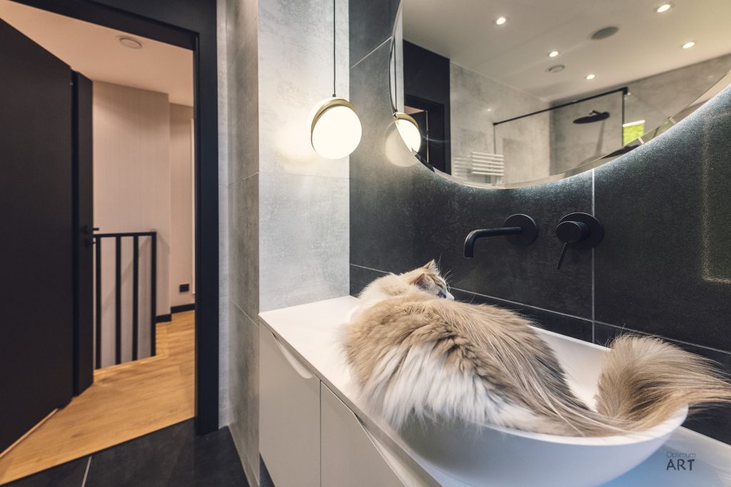 Puszysty kot o długiej, jasnobrązowej sierści leży w białej umywalce w nowoczesnej łazience. Łazienka ma ciemne płytki, eleganckie oświetlenie i minimalistyczny design.