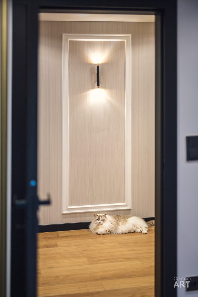 Eleganckie wnętrze z otwartymi drzwiami prowadzącymi do jasno oświetlonego pokoju z drewnianą podłogą. Na podłodze w przejściu leży puszysty, jasnobrązowy kot.