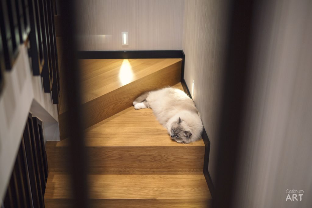 Biały kot o ciemnych uszach leży na drewnianych schodach w domu. Schody są oświetlone ciepłym światłem, a po lewej stronie widać czarną balustradę.