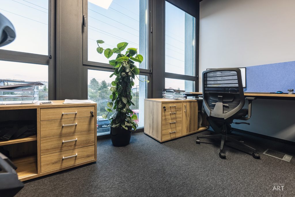Nowoczesne biuro z dużymi oknami, drewnianymi szafkami z szufladami, czarnym krzesłem biurowym i wysoką rośliną doniczkową. Pomieszczenie ma szarą wykładzinę i jasne wnętrze z widokiem na zewnątrz przez panoramiczne okna.