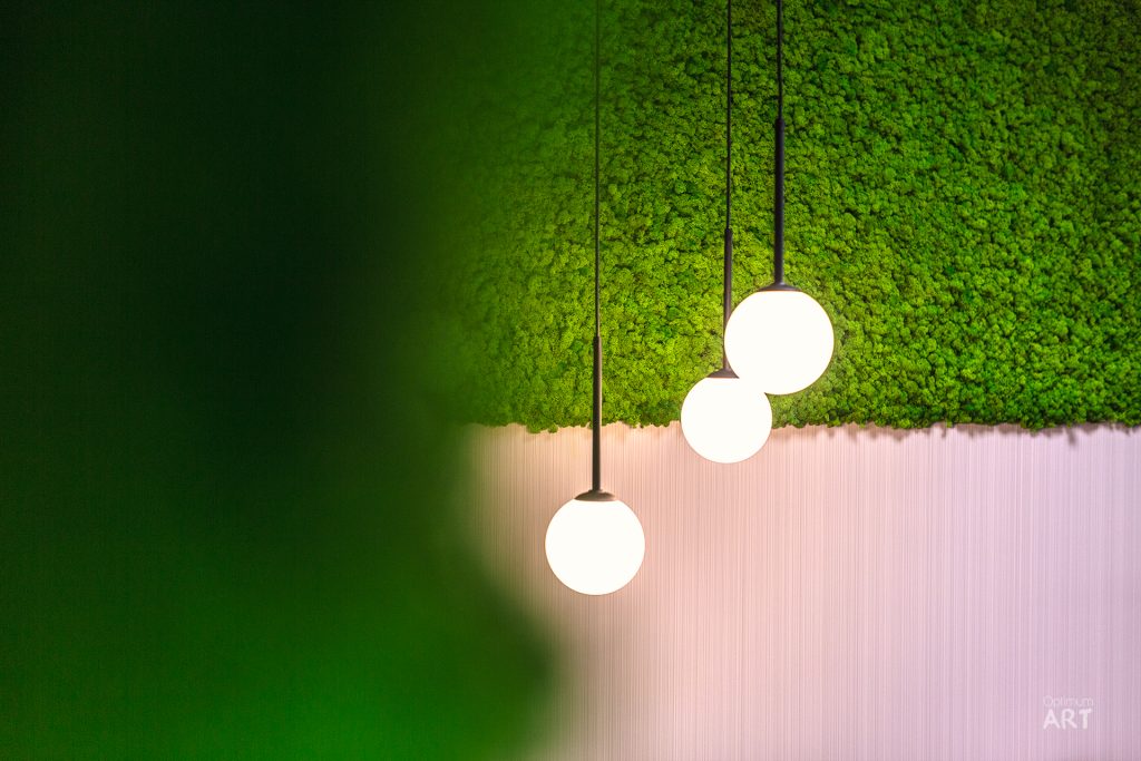 Trzy białe kuliste lampy wiszą na czarnych przewodach na tle zielonej ściany pokrytej mchem. Po prawej stronie widoczna jest różowa ściana, a po lewej rozmyte zielone tło.