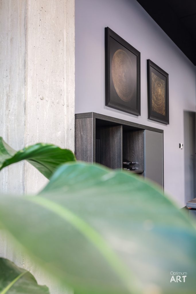 Nowoczesne wnętrze z ciemną drewnianą komodą pod ścianą, nad którą wiszą dwa oprawione obrazy w czarnych ramach. Na pierwszym planie widoczne są rozmyte zielone liście rośliny doniczkowej.