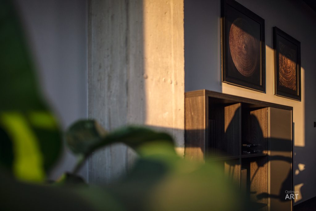 Wnętrze mieszkania z drewnianymi półkami na ścianie, na których wiszą oprawione obrazy przedstawiające drewniane słoje. Na pierwszym planie widać rozmyte zielone liście rośliny doniczkowej.