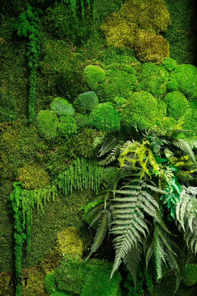 Gęsty, zielony mech pokrywa powierzchnię lasu, tworząc miękkie, okrągłe pagórki. Na pierwszym planie widoczne są delikatne liście paproci wyrastające spośród mchowego dywanu.
