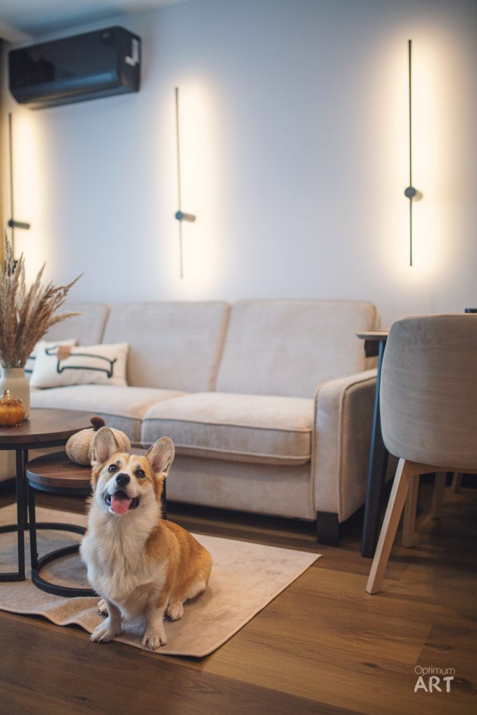 Pies rasy corgi siedzi na dywanie w nowoczesnym salonie z beżową sofą. W tle widoczne są minimalistyczne lampki ścienne i szary fotel.