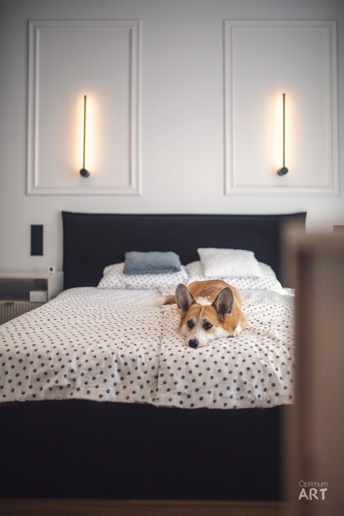 Mały pies o rudej sierści leży na łóżku z białą pościelą w czarne kropki. W tle widać białą ścianę z dwoma podświetlanymi lampami ściennymi i ciemny zagłówek łóżka.
